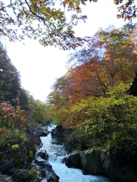 d0130927_9471650.jpg