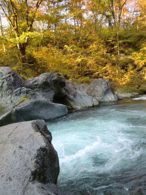 d0130927_9484156.jpg