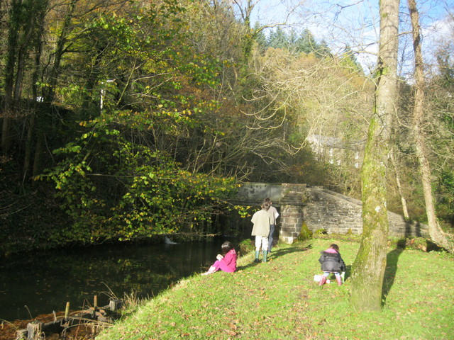 d0145528_2312491.jpg