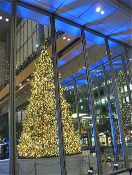 c0177332_1612967.jpg