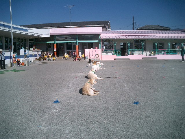 c0114833_12263964.jpg