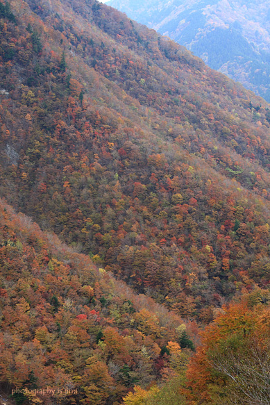 e0083238_2156556.jpg