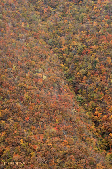 e0083238_2157811.jpg