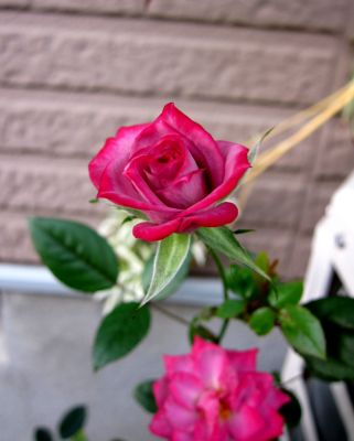 b0178339_9381443.jpg