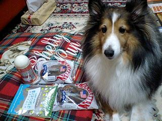 f0210439_0335046.jpg