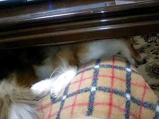 f0210439_0471658.jpg
