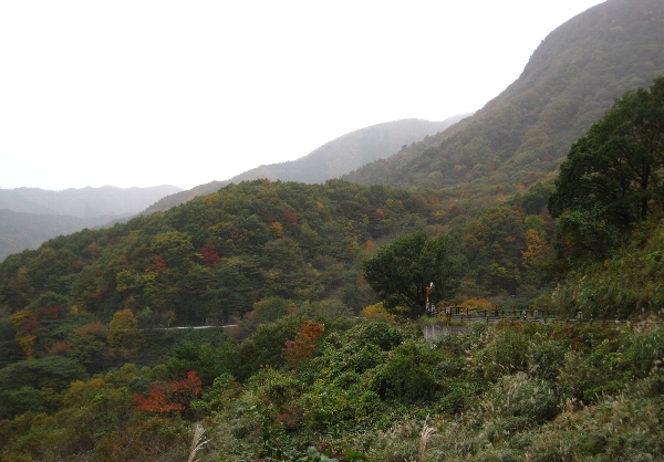 b0149340_22501450.jpg
