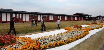 a0100742_834730.jpg