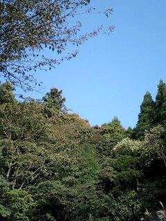 c0059543_20362649.jpg