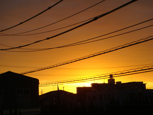 b0097645_157733.jpg