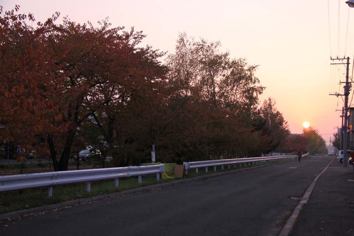 a0082347_1254373.jpg