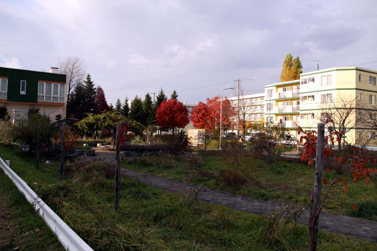 a0082347_125623.jpg