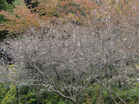 d0163550_19295668.jpg