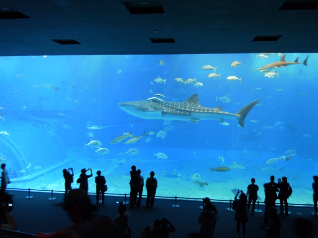 f0202151_2361383.jpg