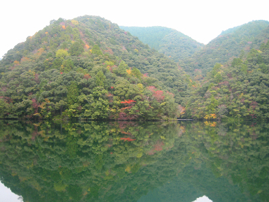 b0177760_23953100.jpg