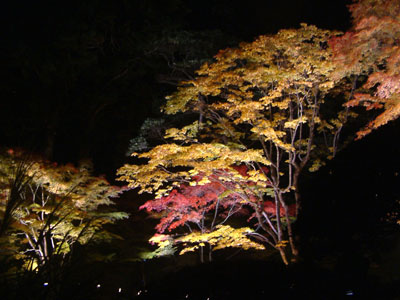 c0050264_0183838.jpg