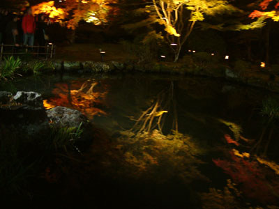c0050264_0194346.jpg