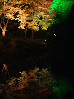 c0050264_0205241.jpg