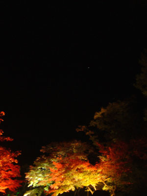 c0050264_04859.jpg