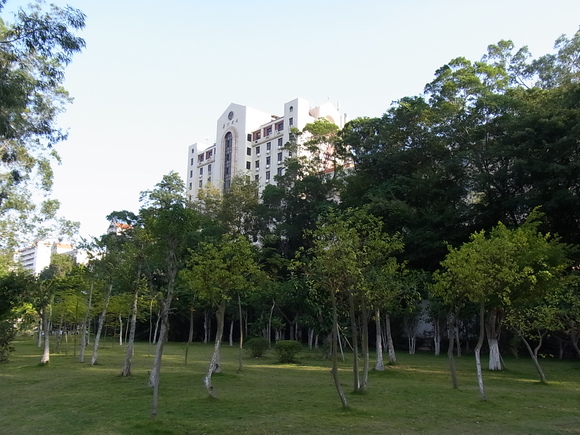 c0076764_820733.jpg