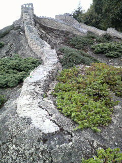 f0233667_202112.jpg