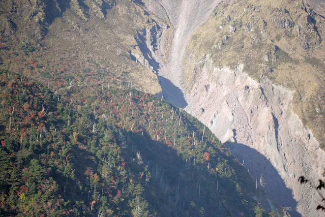 d0109568_10535466.jpg