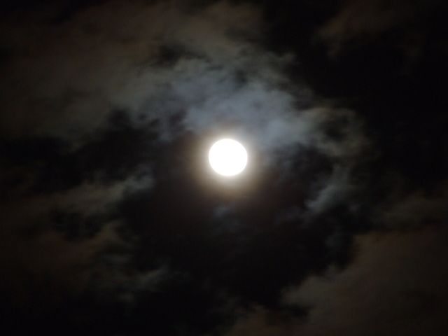 a0106978_1254011.jpg