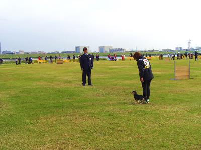 e0100584_23124294.jpg