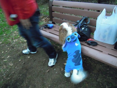 d0044986_15432573.jpg