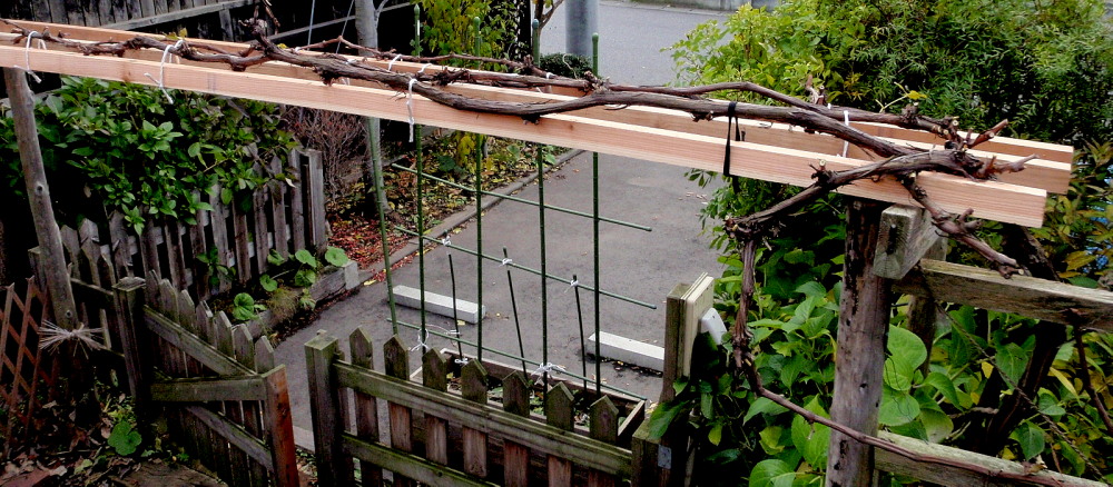 a0007388_1295210.jpg