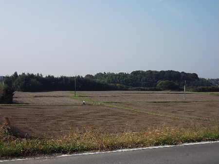 f0235289_1440174.jpg