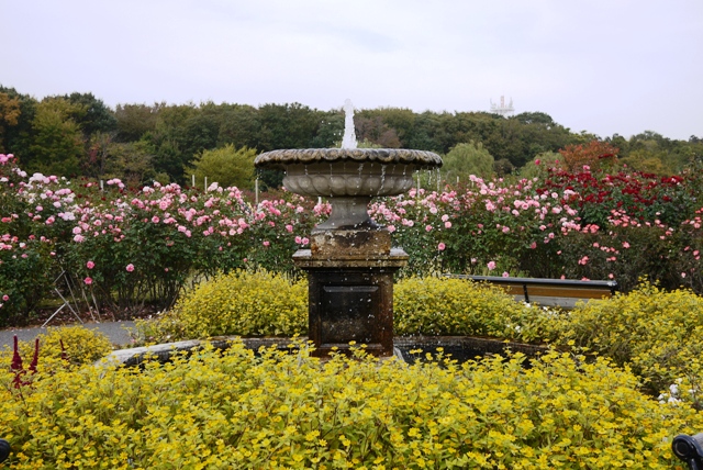 a0127090_20415590.jpg