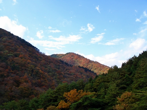 d0125890_18483963.jpg