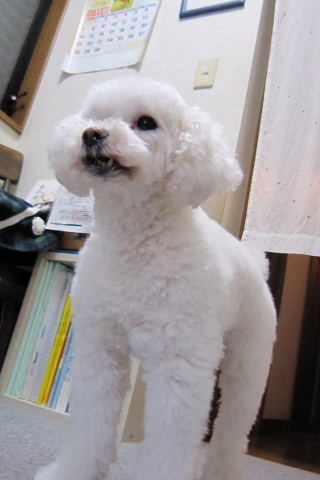 b0104592_20201357.jpg