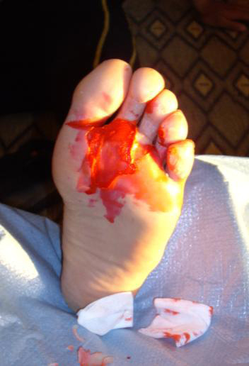 c0003493_8372993.jpg
