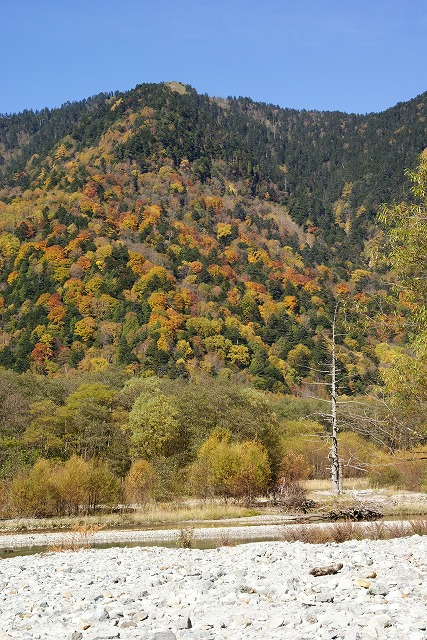 b0145398_21424674.jpg