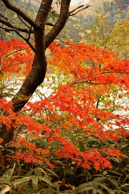 b0145398_22584626.jpg