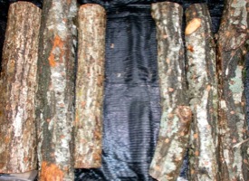 c0151898_208469.jpg