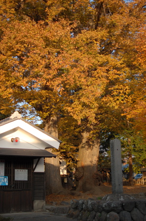 a0011999_19262395.jpg