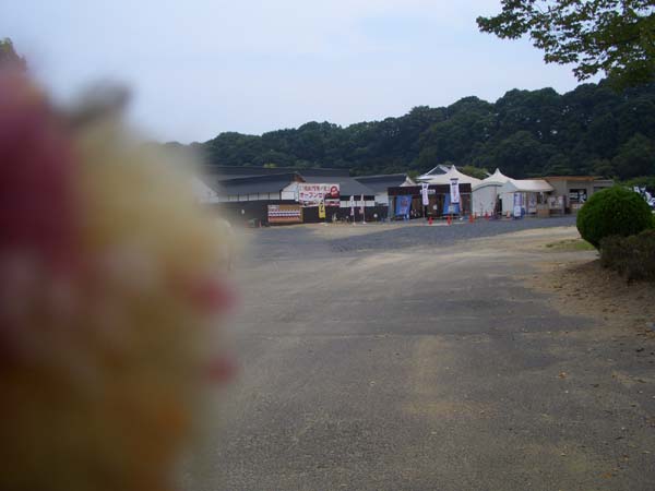 d0197602_10214613.jpg