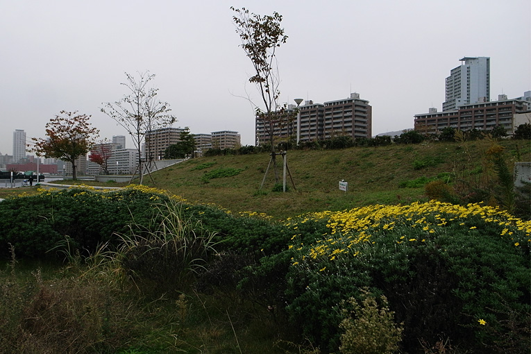 c0102003_822742.jpg
