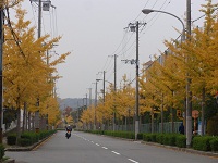 e0207503_20365943.jpg