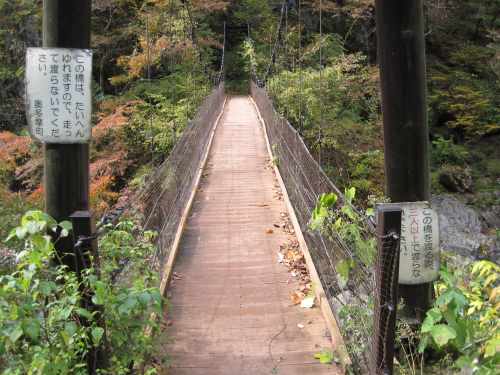 e0183804_1153674.jpg
