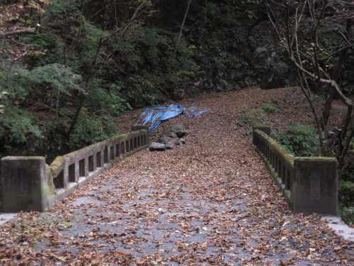 e0183804_118480.jpg