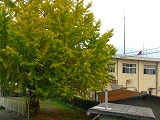 d0165505_20142339.jpg