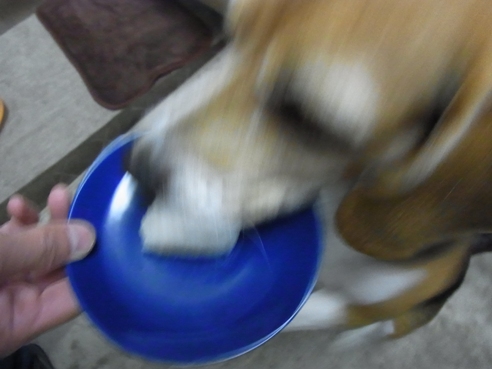 c0205806_15413795.jpg