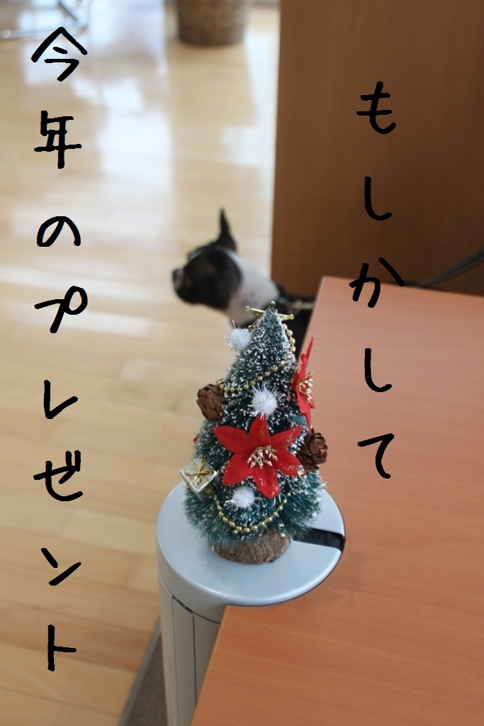 a0147507_203328100.jpg