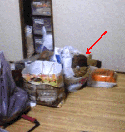 e0103408_1250257.gif