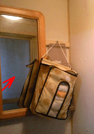 e0103408_20104283.gif