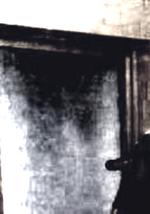 e0103408_2033423.gif